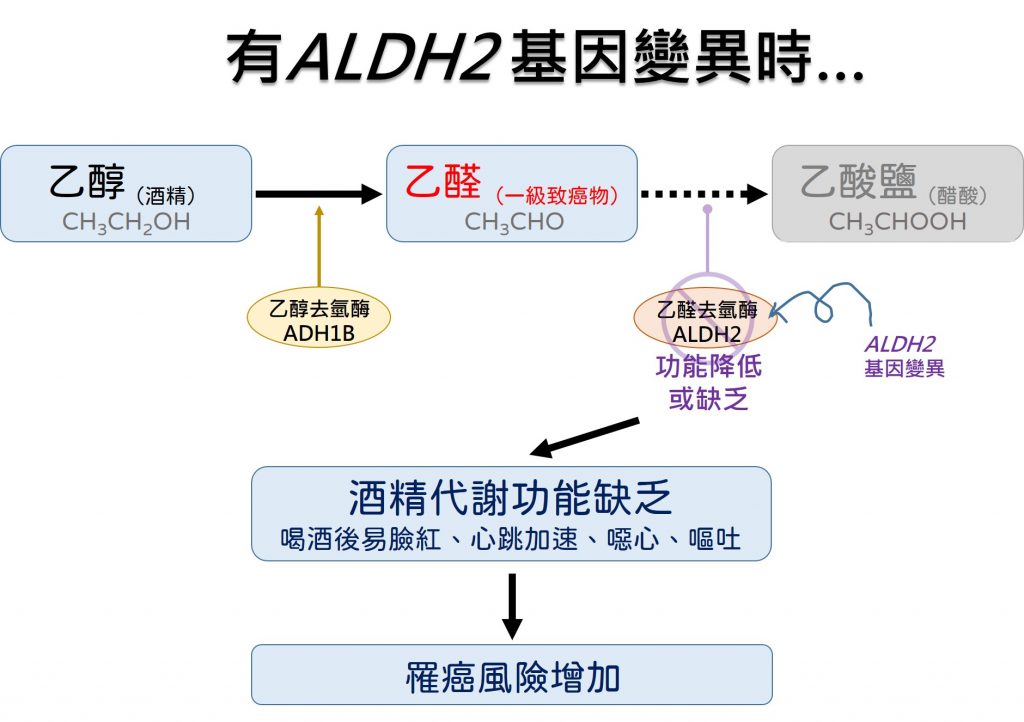 酒後臉紅無保護 黃湯下肚健康誤 衛普ㄒㄧㄢ知